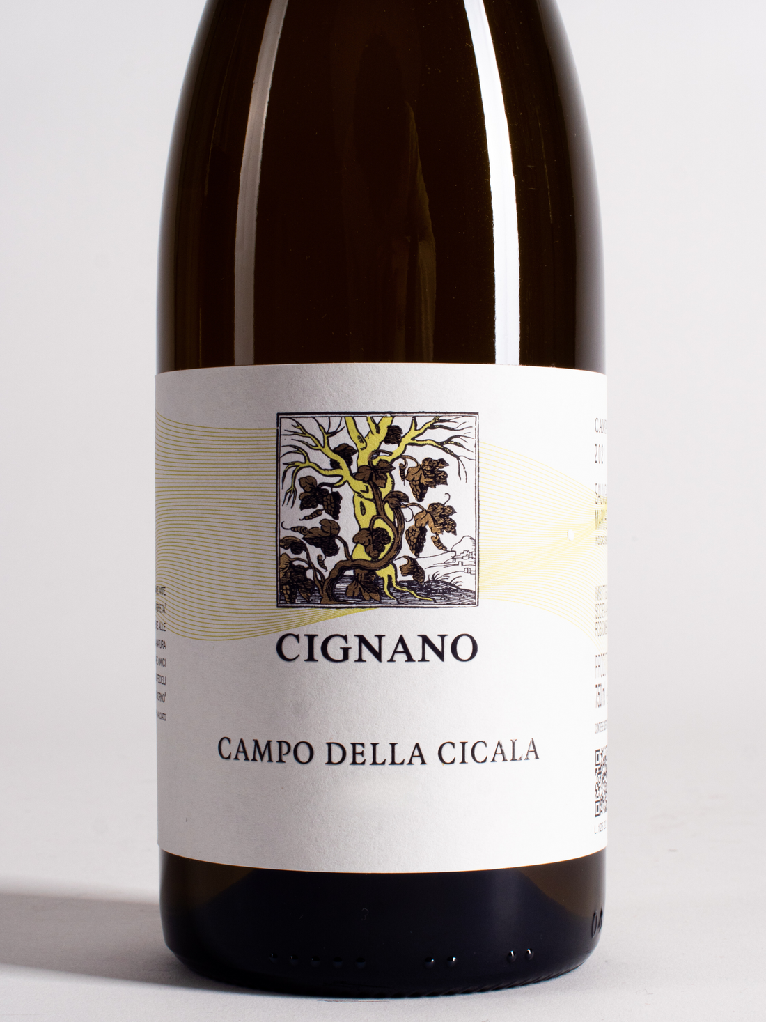 CAMPO DELLA CICALA 2022